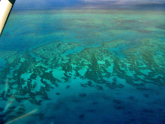 A 428 Cairns - La barriere de corail.jpg